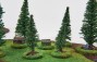 Coniferous FOREST Set - 32 trees
