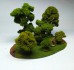 Large Deciduous Forest - 6 trees