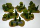 Mixed FOREST Set - 25 trees