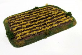 Crops Field: Rising Wheat